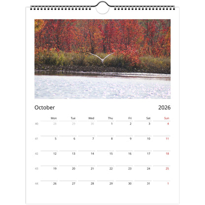 496d426d-e6e7-451e-8500-f3bcca32061e