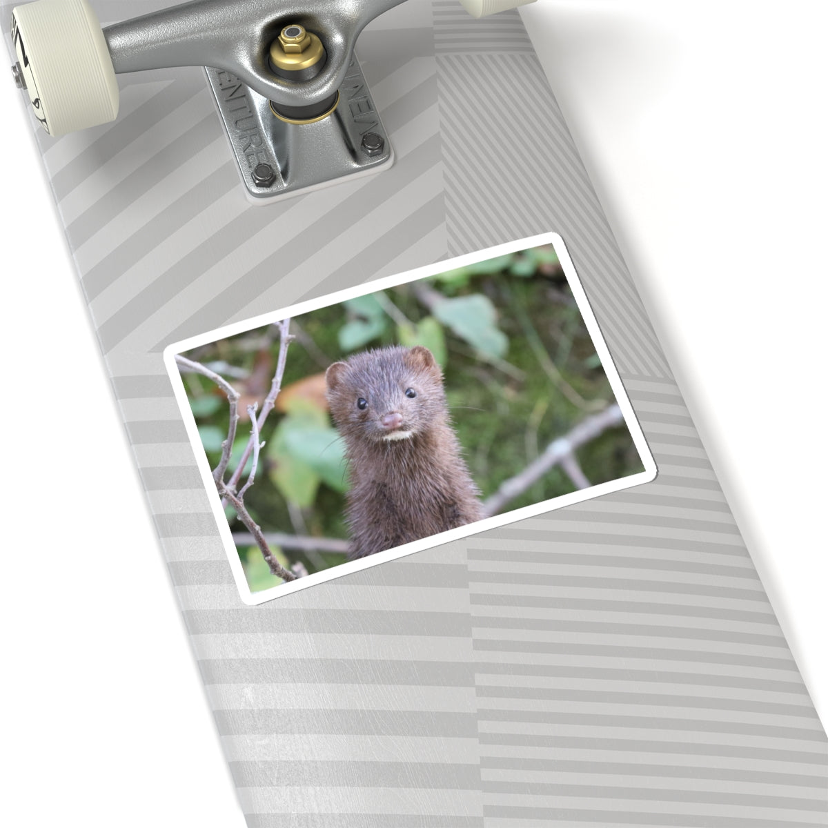 Curious Mink Photo Sticker — Cute Wildlife Laptop Decal