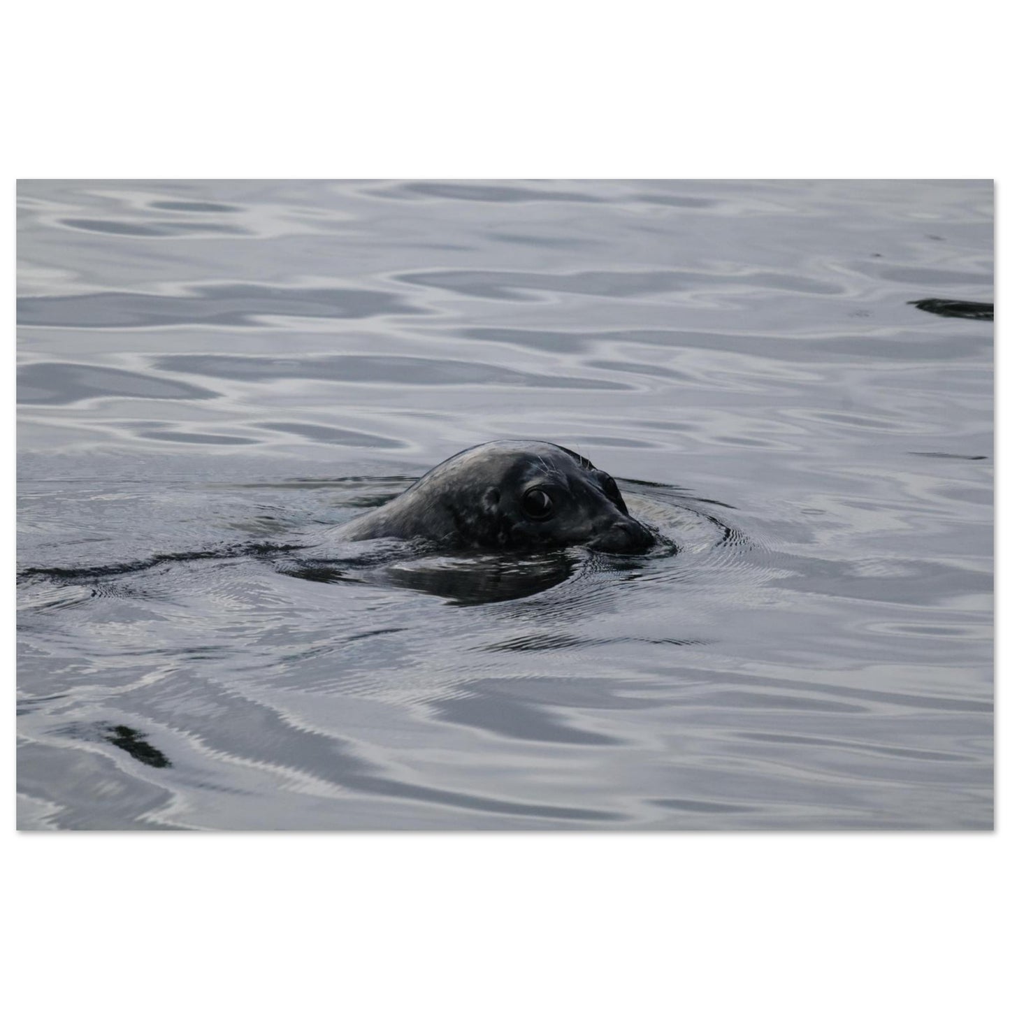 49dd53f6-2501-462e-b27b-657f686d1ff3