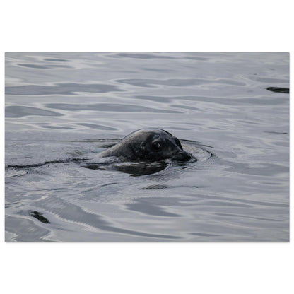 49dd53f6-2501-462e-b27b-657f686d1ff3