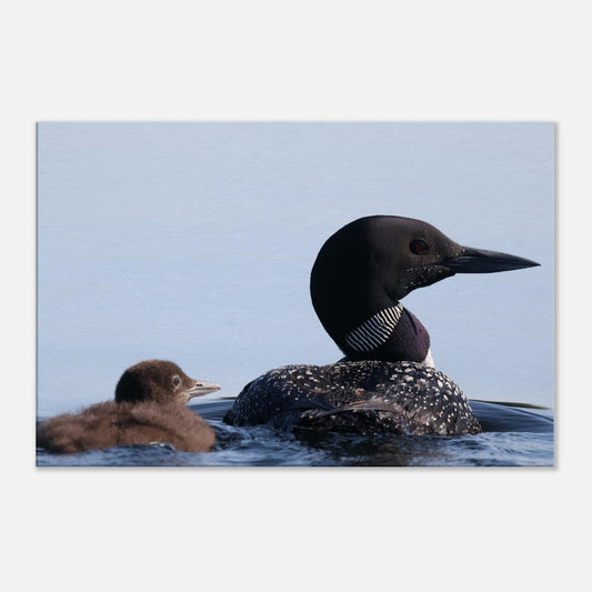 4a3d2667-507d-4564-891f-622d2a4d9acc