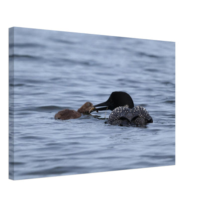 4a930baa-08e4-4ab9-a277-4f4e5f4d8b8f