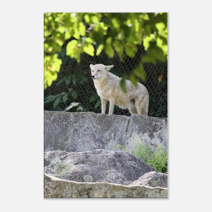 4ada09b1-9419-4668-8f12-1579ec519c8d