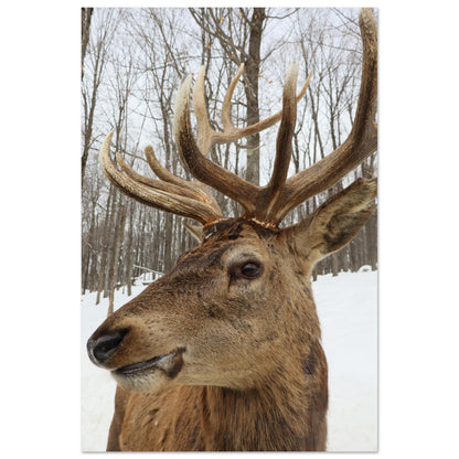 4b2500c7-8c9a-47d6-9a39-c804fe487361