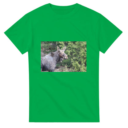 4b52e85c-cbe3-4ee8-8fec-779fb17e81d3