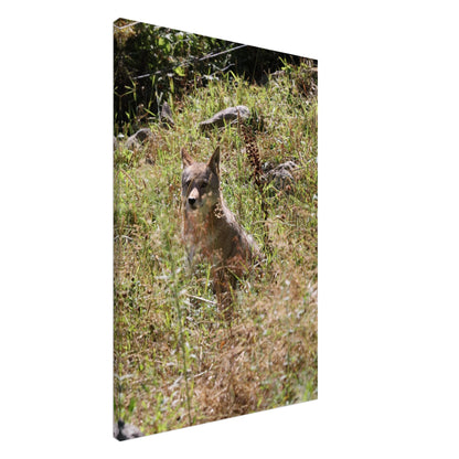 4b675fde-5c73-48dc-ab0a-ee50f2f47957