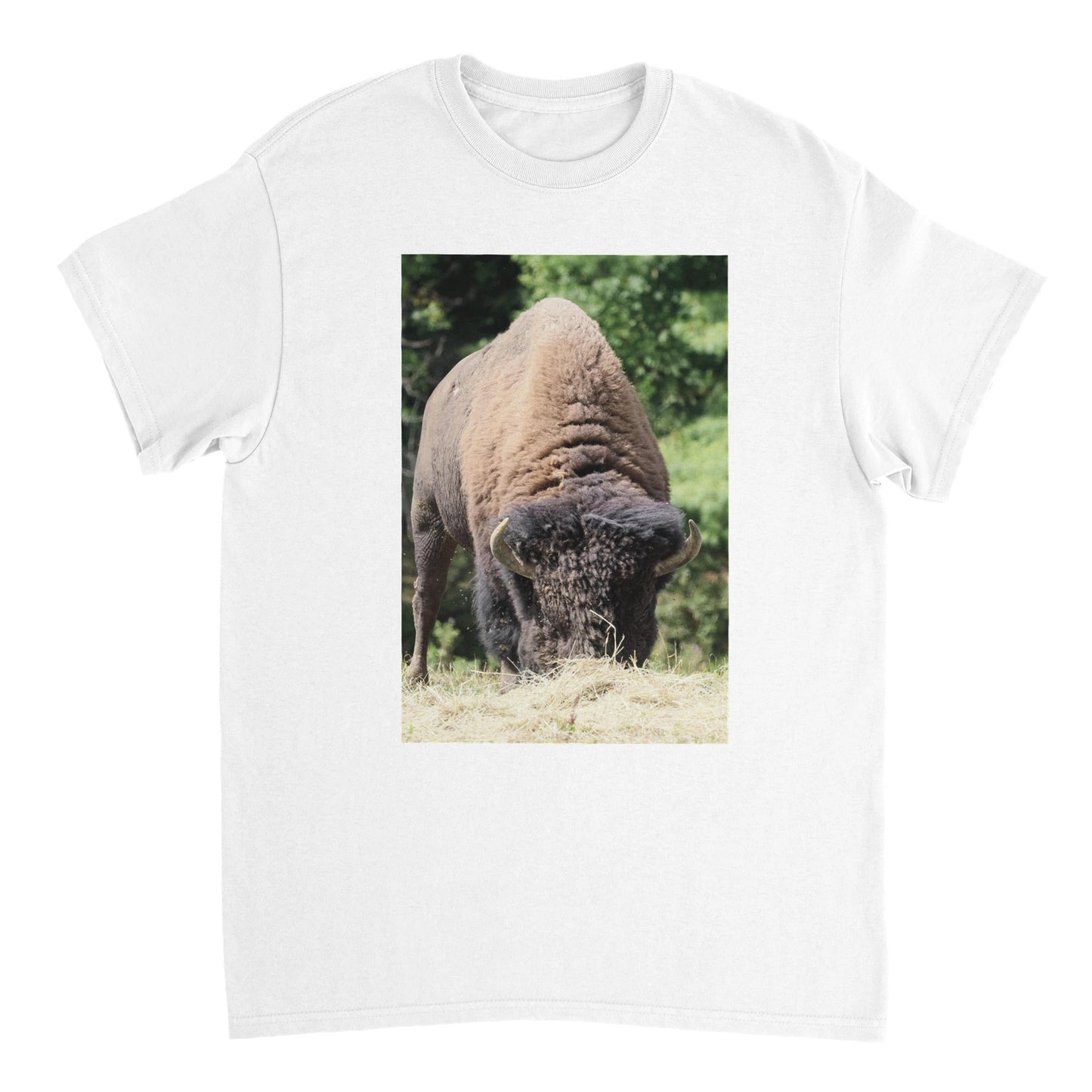 4b9921e7-76ce-4401-8528-a669a91a9eea