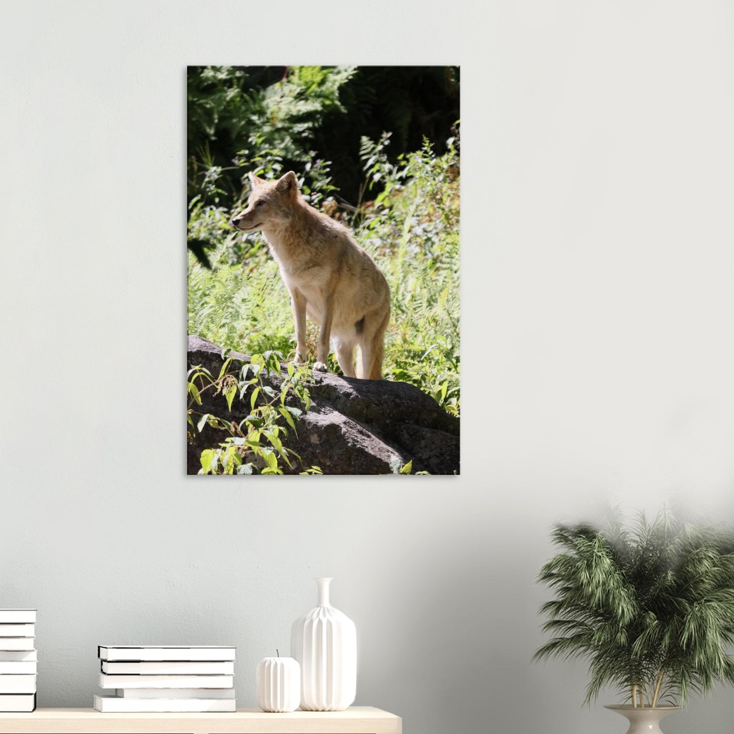 4b9b1e11-5dce-4a09-aec9-68c27b6d2150