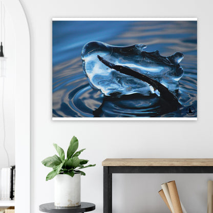 4be07f46-104e-4fd8-9d33-1308945a783f