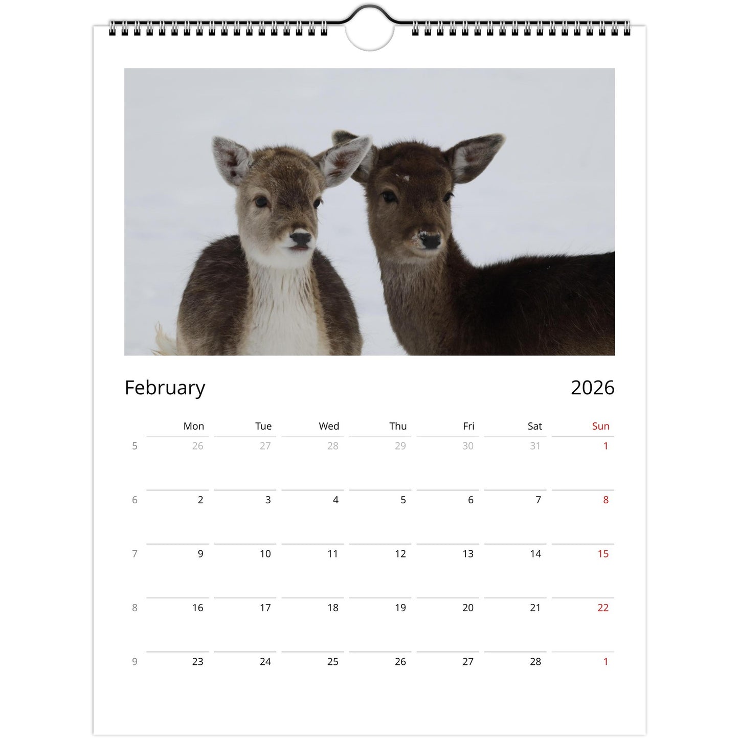 4be925f8-fe15-45ea-bae4-2f4dd60184fe