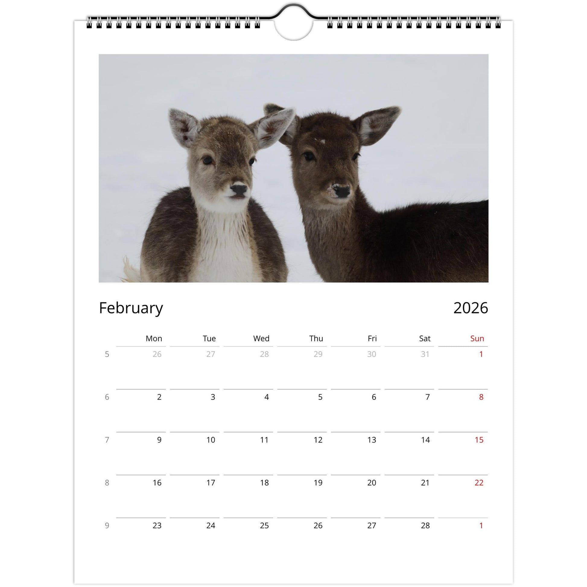 4be925f8-fe15-45ea-bae4-2f4dd60184fe