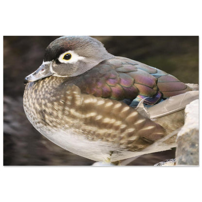 4d088dfe-50c2-4bea-8a53-4c210f905946