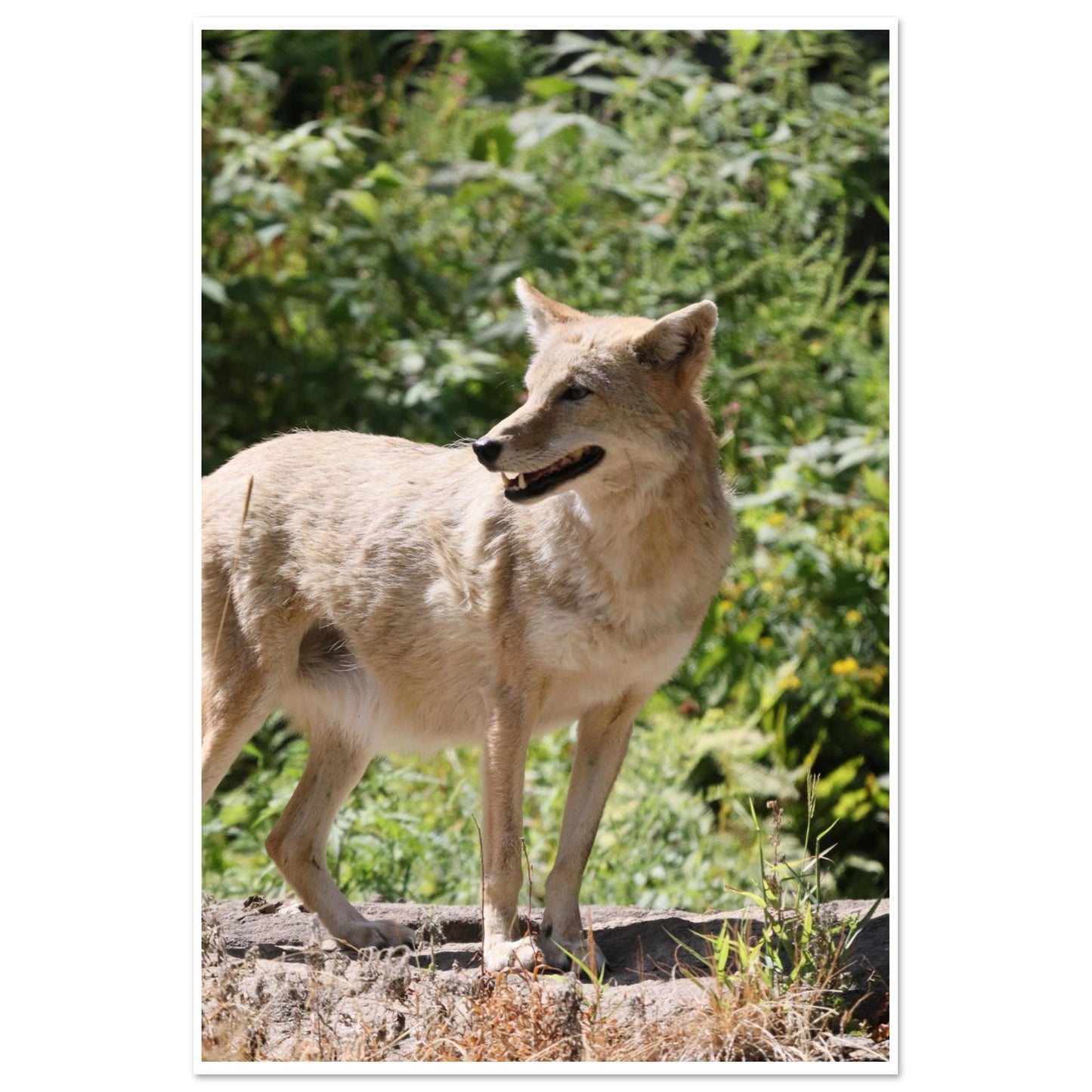 4d11c45f-a780-4cf9-a49e-e8f70318148f