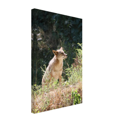 4e5ed6b9-bb31-4361-860d-db527c7c51c8