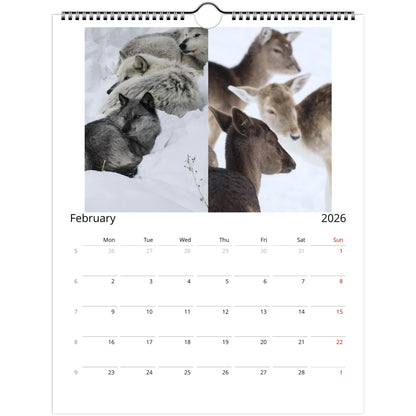 4eb82ae0-7753-4d84-99a0-3bc496955ce2