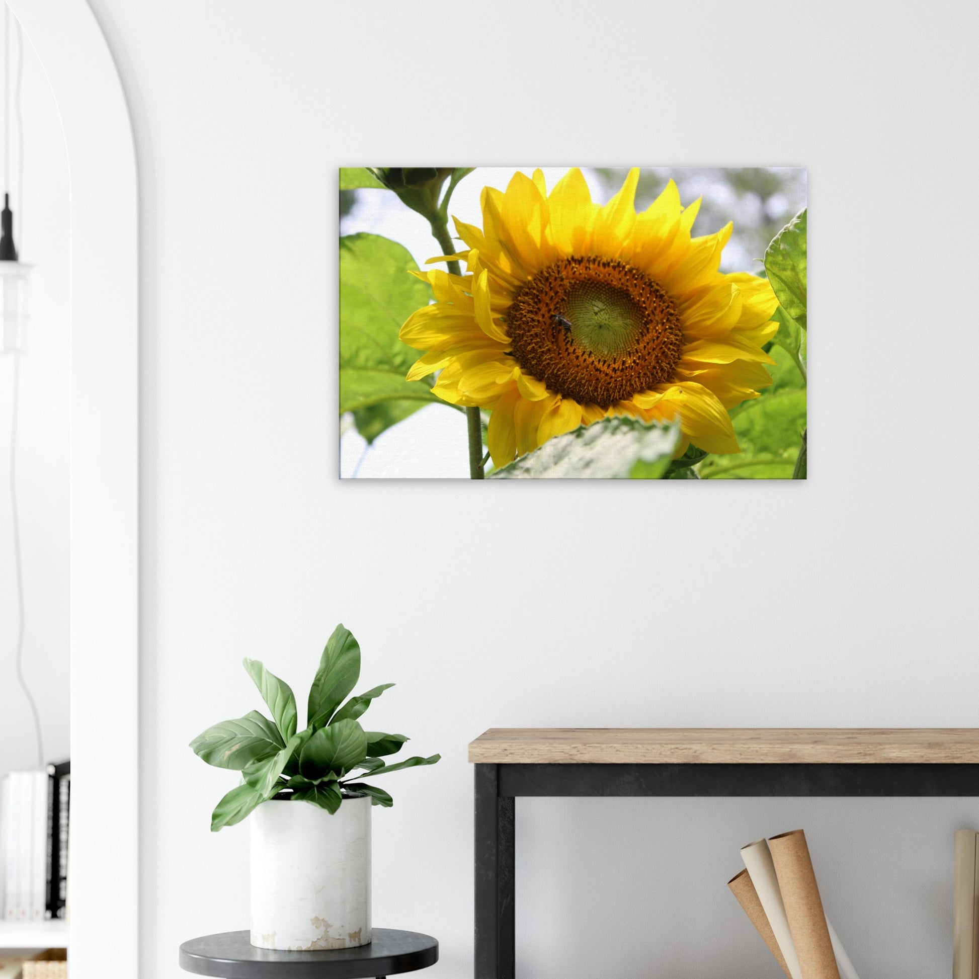 4f4e534a-0041-400c-ad25-8c265875810d