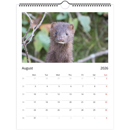 4f59b7ff-e4ed-4a8d-be61-f4d309e56d5b