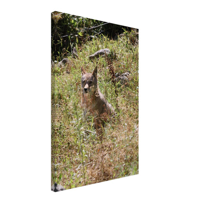 4fff45d8-4e6c-449a-bffc-f1fc62c99e52