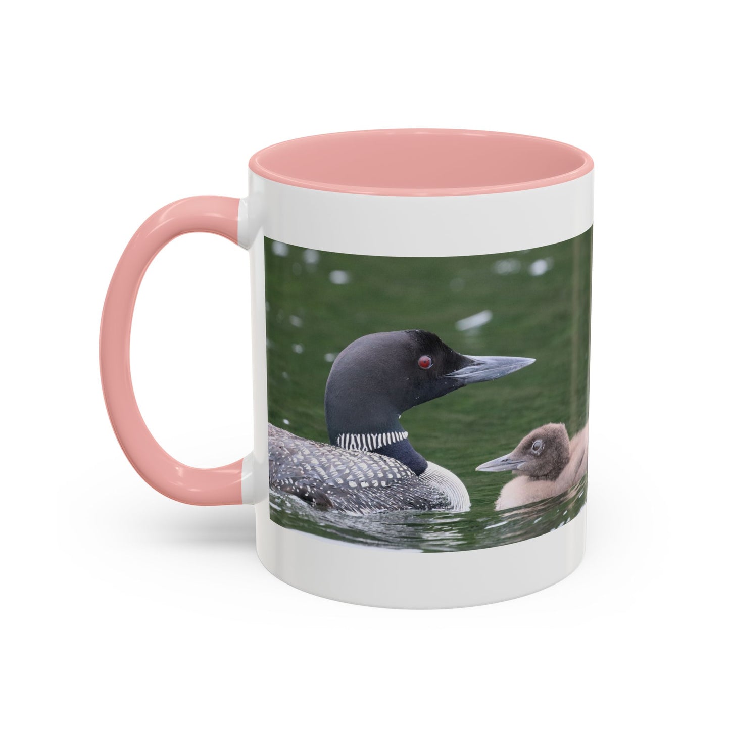 Loon Family Accent Coffee Mug – Wildlife Photo Tea Mug (11/15 oz)