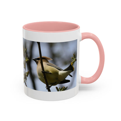 Cedar Waxwing Bird Photo Accent Coffee Mug