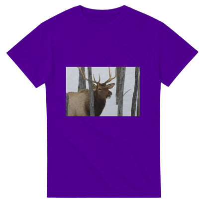 503b70c0-3f5e-4550-801f-5623ee8dcedf