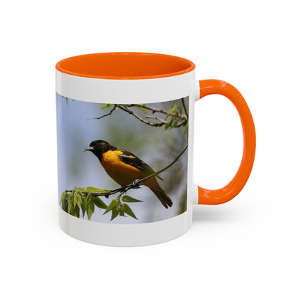 Baltimore Oriole Coffee Mug — Birdwatching Accent Mug (11/15oz)