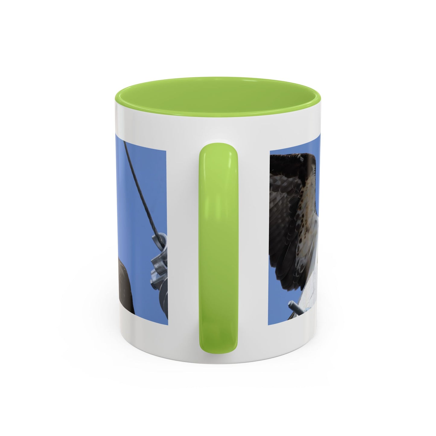 Osprey Photo Accent Coffee Mug – Wildlife Bird Photography Drinkware (11/15 oz)
