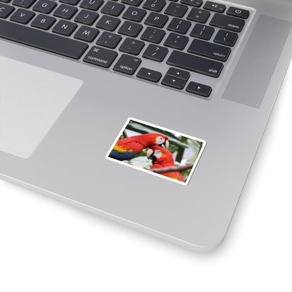 Scarlet Macaw Kiss-Cut Sticker — Tropical Parrot Laptop Decal