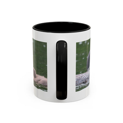 Loon Family Accent Coffee Mug – Wildlife Photo Tea Mug (11/15 oz)