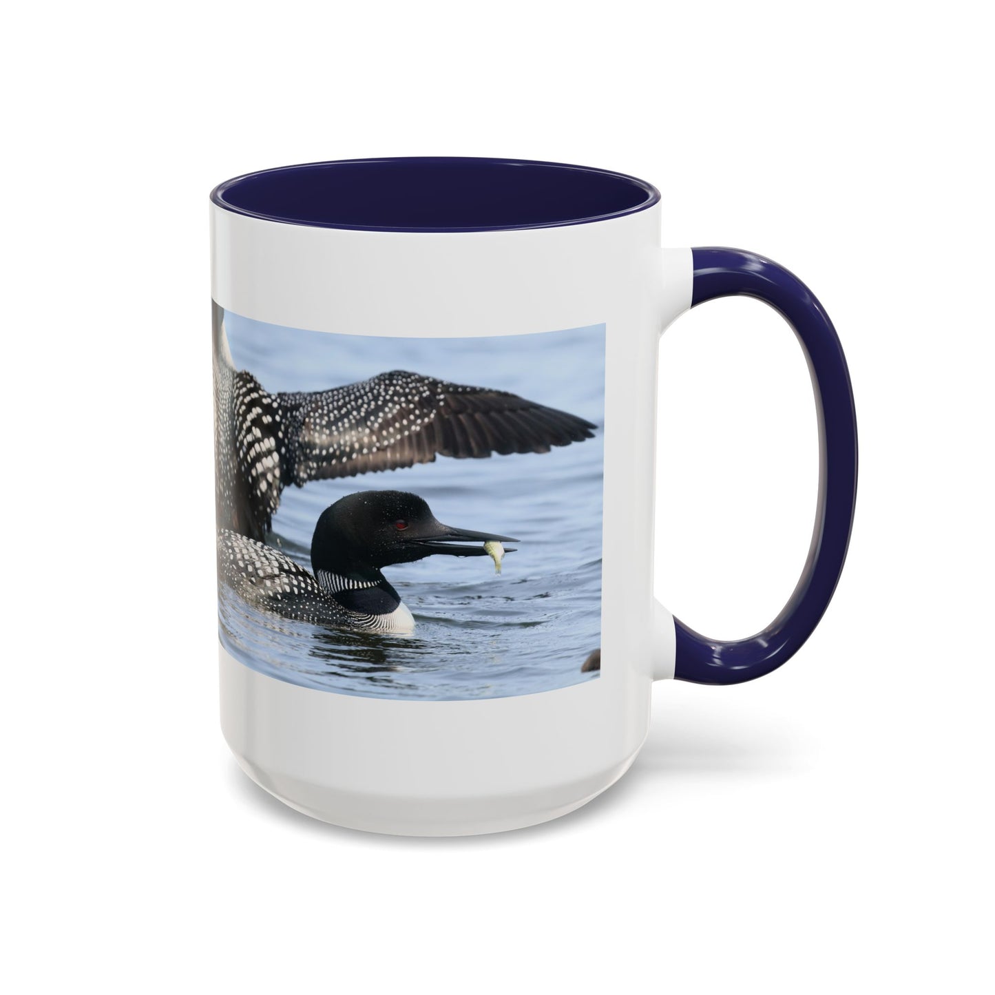 Common Loon Accent Coffee Mug – Wildlife Photography Bird Lover Gift (11/15oz)