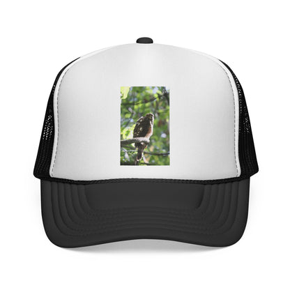 Bird Photography Trucker Cap – Perched Owl Nature Hat
