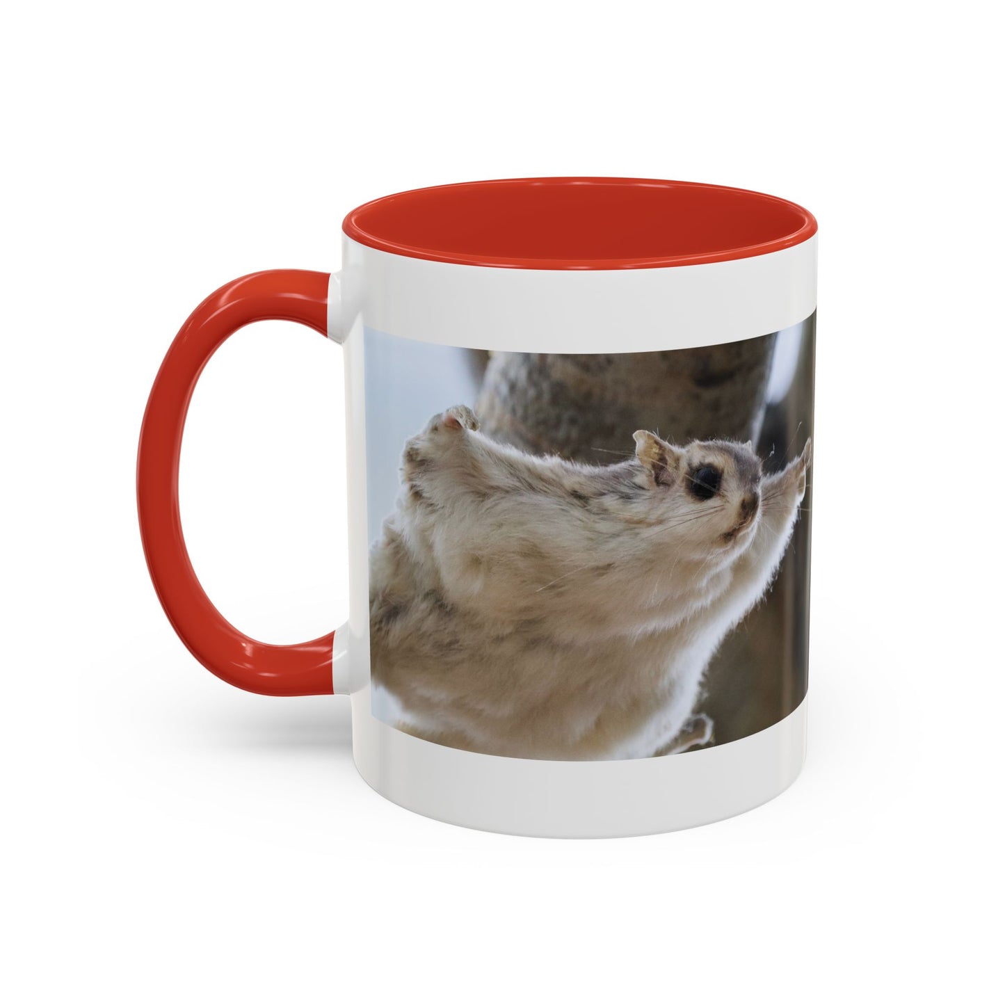 Flying Squirrel Accent Coffee Mug — Cute Wildlife Photo Mug (11/15oz)