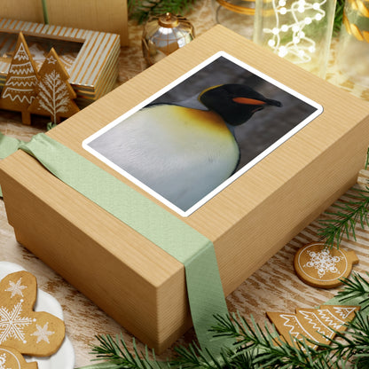 King Penguin Photo Kiss-Cut Sticker — Cute Wildlife Laptop Decal