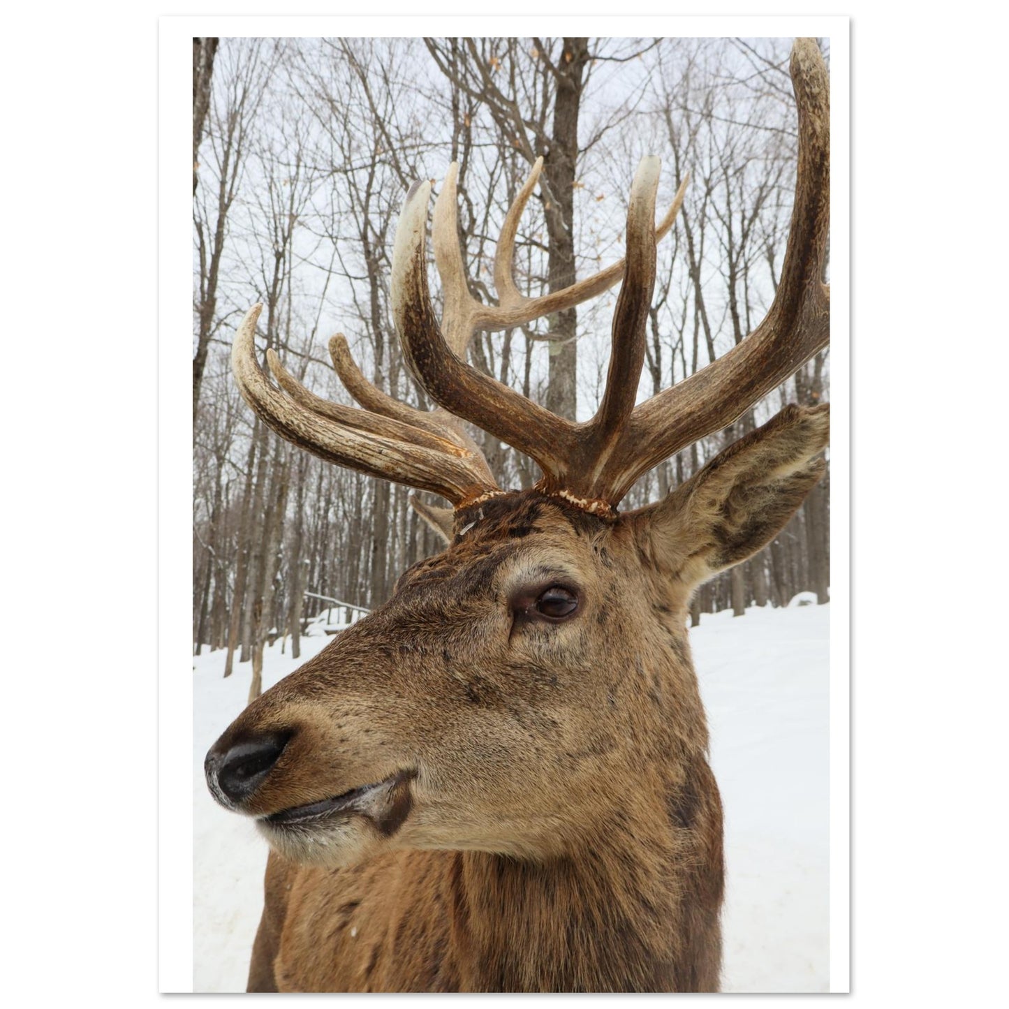 51cffb8a-5591-438e-ad30-e15be6ac772c