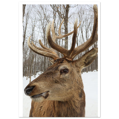 51cffb8a-5591-438e-ad30-e15be6ac772c