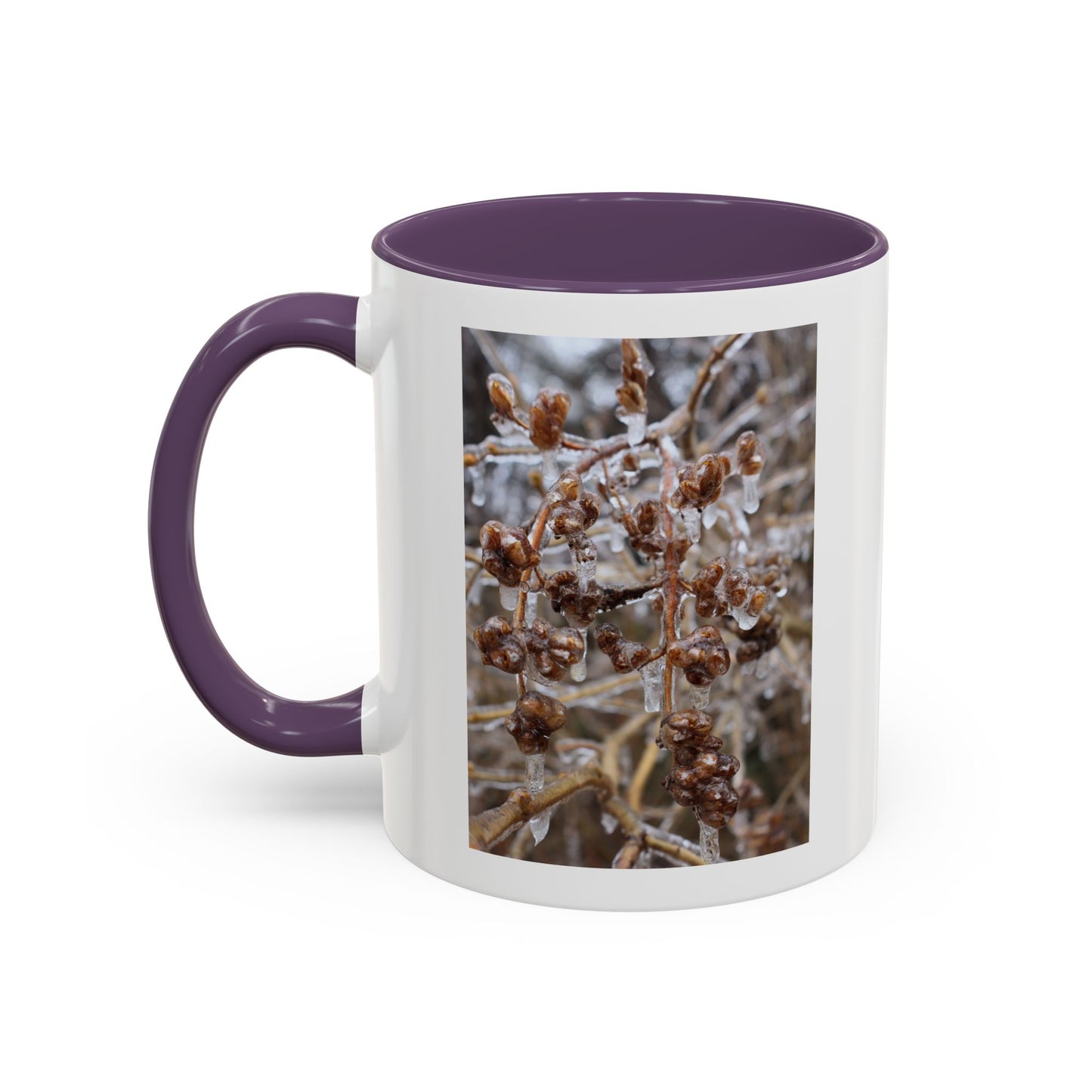 Ice-Coated Berries Accent Coffee Mug (11/15 oz) — Winter Nature Photo