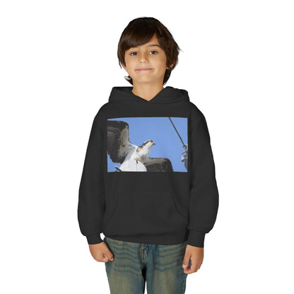 Youth Osprey Photo Hoodie — Kids Birdwatching Nature Pullover