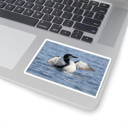 Common Loon Photo Sticker — Waterproof Kiss-Cut Sticker of Loon on Water