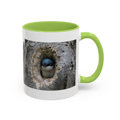 Bluebird in Tree Cavity Accent Coffee Mug — Nature Wildlife Ceramic Mug (11/15oz)