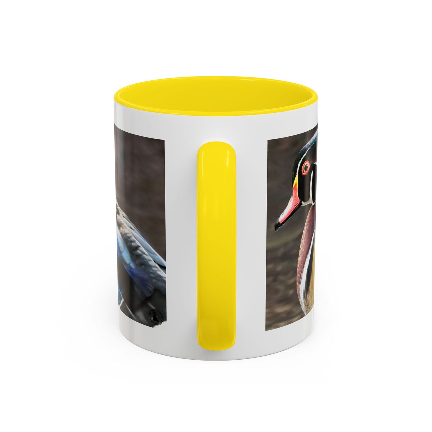 Wood Duck Accent Coffee Mug — Colorful Waterfowl Photo Mug (11/15 oz)