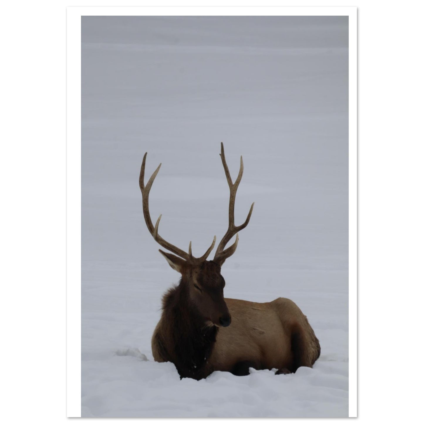 52865744-e0ad-4ab4-a071-fefcdf860fe1