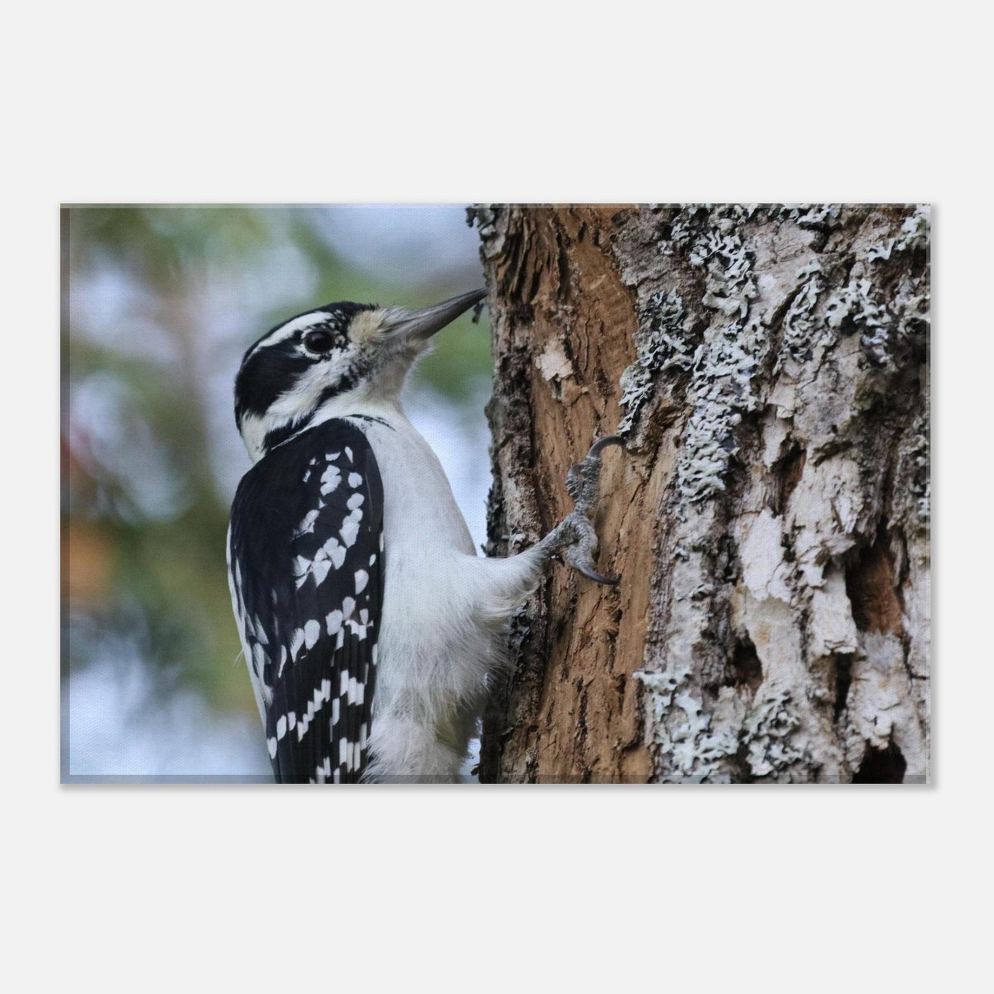 528f056f-cbcd-4f5d-b20f-4d97edafa85a