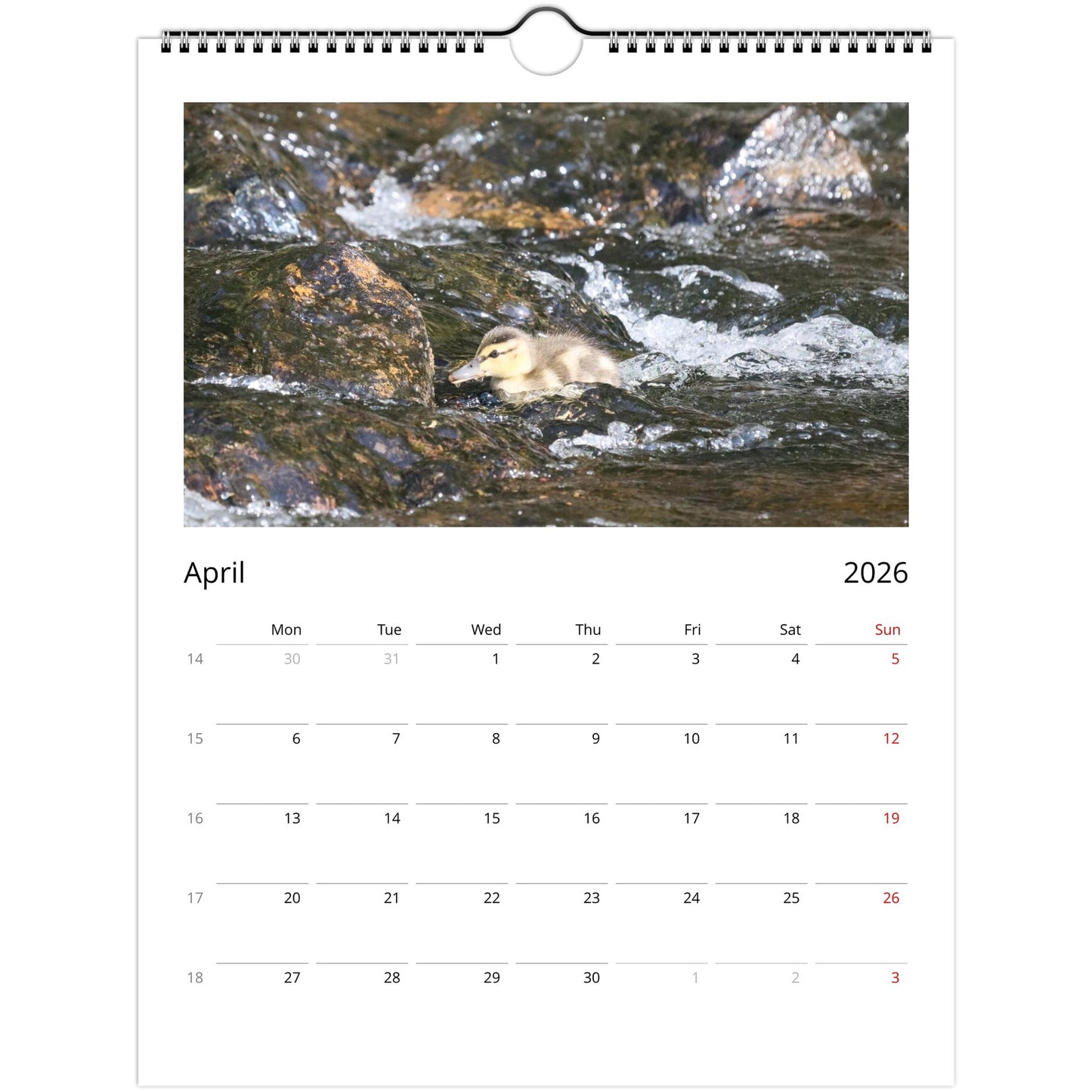 529893b2-83d1-43b7-a1d9-b326e48dd954