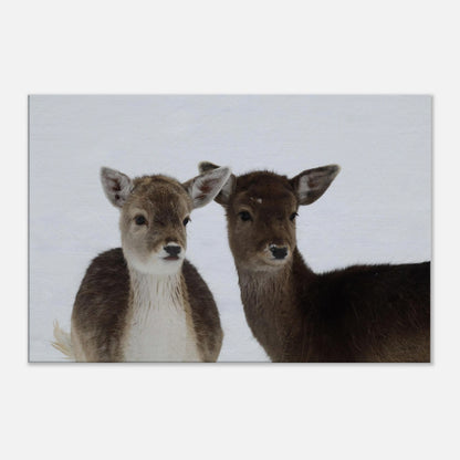 529db7f1-00bb-4bad-9e6e-abdd3681b79b