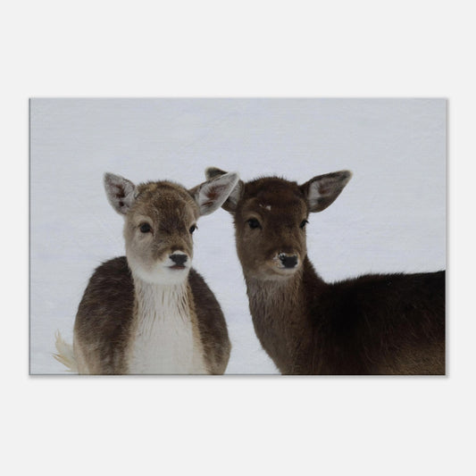 529db7f1-00bb-4bad-9e6e-abdd3681b79b