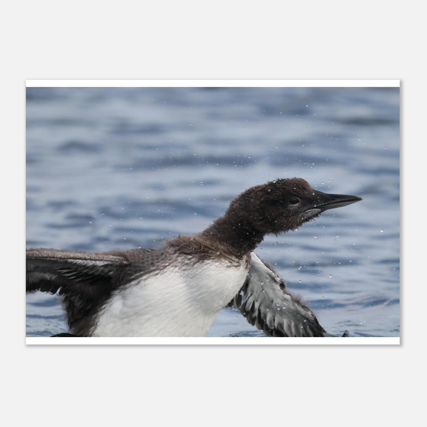 52d2430d-e2e7-4db2-9580-18af5c8c929c