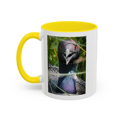 Common Loon Photo Accent Coffee Mug (11/15oz)