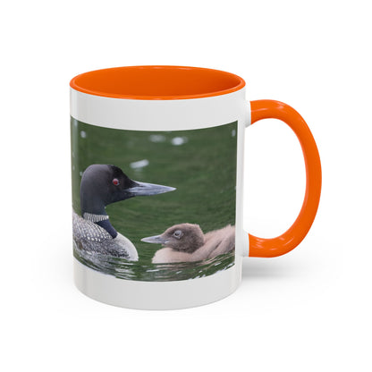 Loon Family Accent Coffee Mug – Wildlife Photo Tea Mug (11/15 oz)