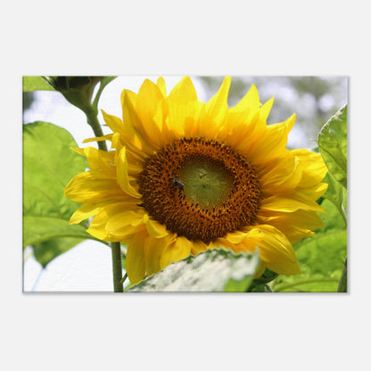 5392dc1a-244d-4579-8cc7-1c4fd875cffb