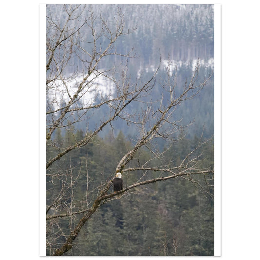 53d134d3-88fe-41f4-bf38-96300e50653f